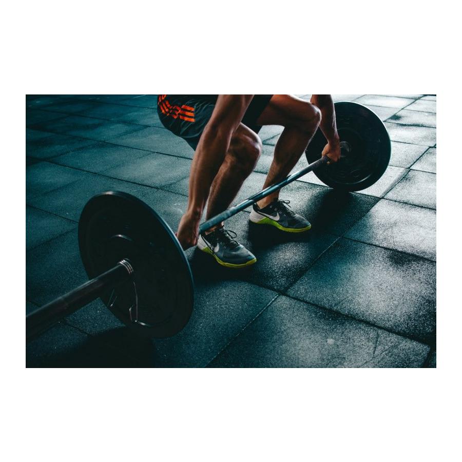 fitness (2).jpg