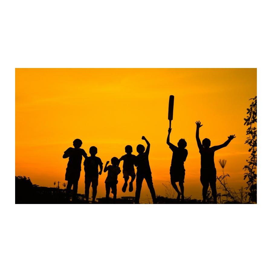 cricket (2).jpg